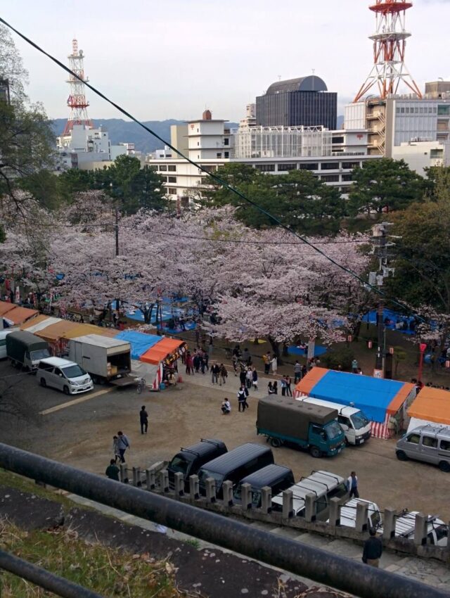 和歌山城桜祭り屋台