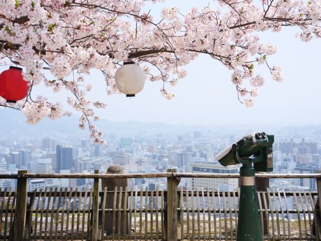 松山城の桜と眺望