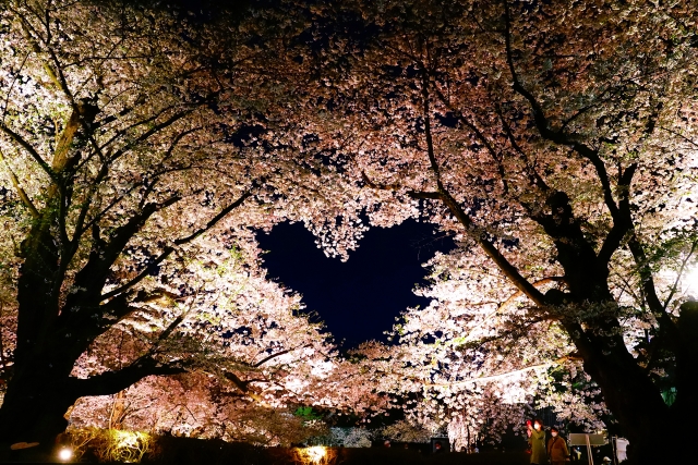 弘前公園桜のハート